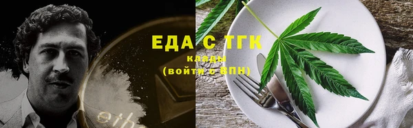 твердый Тайга