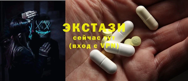 твердый Тайга