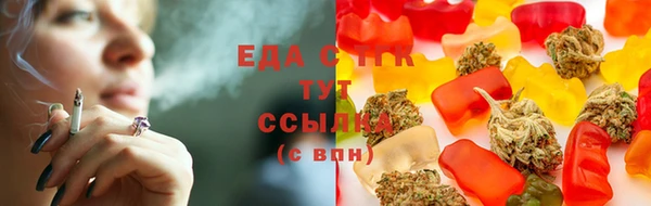 твердый Тайга