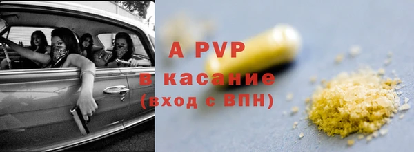 стаф Тавда