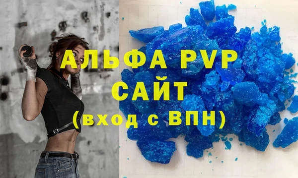 твердый Тайга