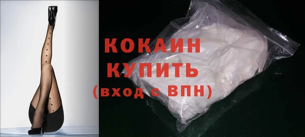 твердый Тайга