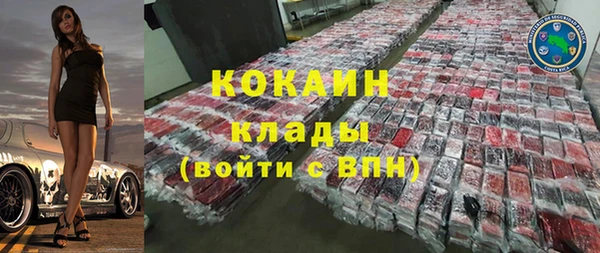 твердый Тайга