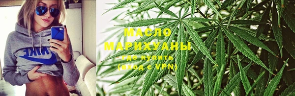 стаф Тавда