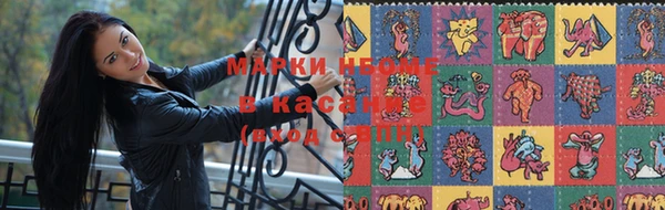твердый Тайга