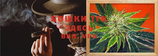 твердый Тайга