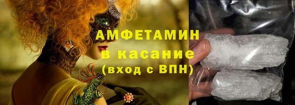 стаф Тавда