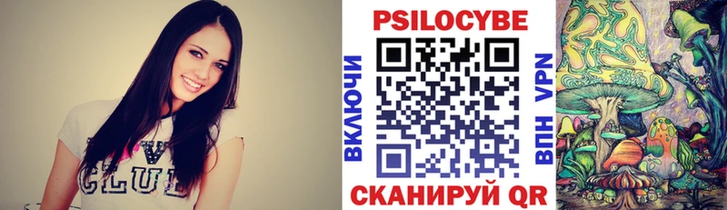 Псилоцибиновые грибы Psilocybine cubensis  Динская 
