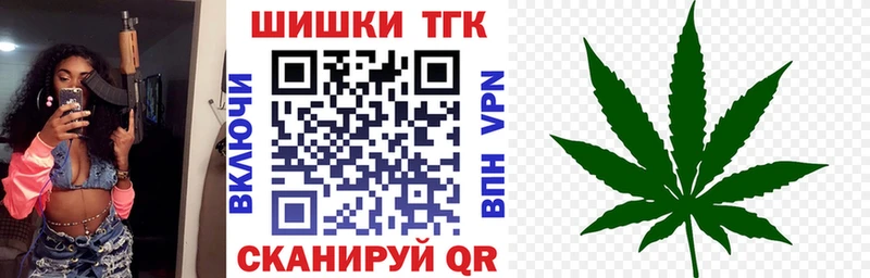 Конопля сатива  Динская 